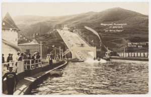 Wellington’s Wonderland at Miramar "The Water Chute", 1907